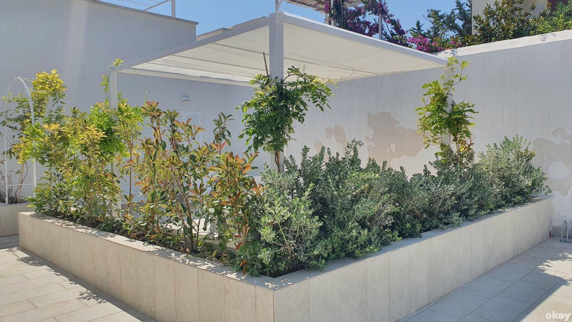 Villa Mediterranea Apartments - Seaview, Pool & Garden Bari Extérieur photo